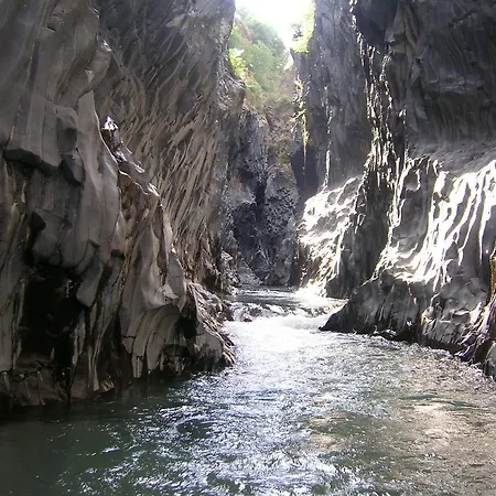 Accademia 贾迪尼-纳克索斯